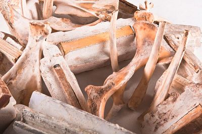 02_Club_der_toten_Dichter_-_Detail_1.jpg