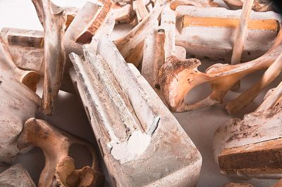 03_Club_der_toten_Dichter_-_Detail_2.jpg